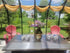 Rion Sun Room 8&
